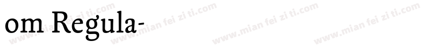om Regula字体转换